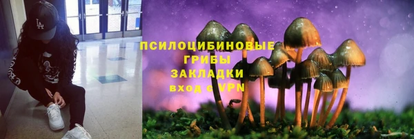 амф Белокуриха
