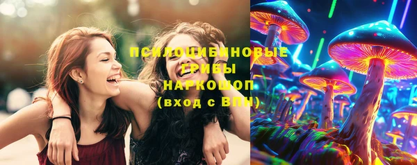 амф Белокуриха