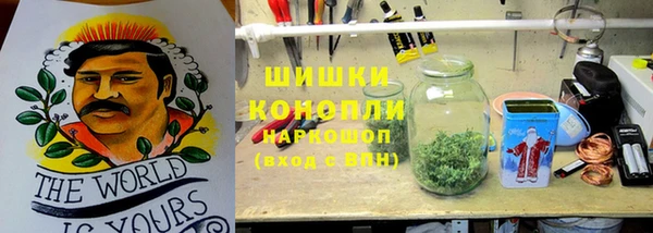 амф Белокуриха